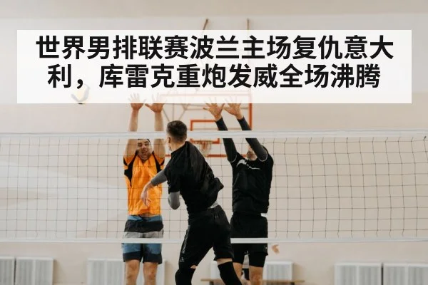 volleyball block net