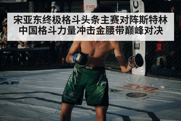 宋亚东终极格斗头条主赛对阵斯特林 中国格斗力量冲击金腰带巅峰对决